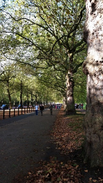 Hyde Park Sidewalk